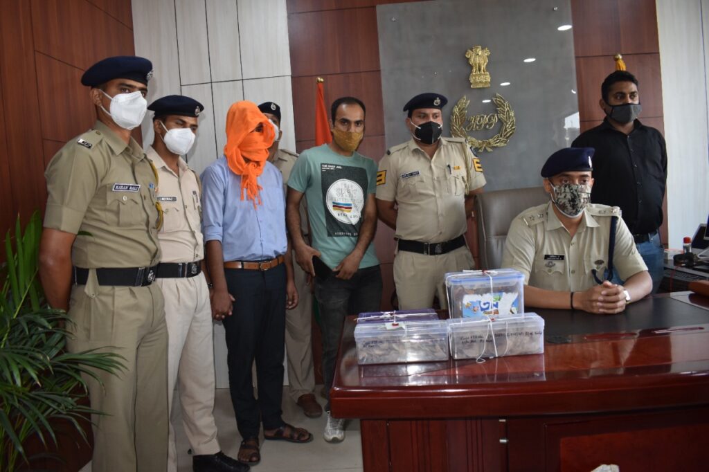 HP police recovered 4.4 kg Pangolin scale from a man HP police recovered 4.4 kg Pangolin scale from a man HIMACHAL HEADLINES