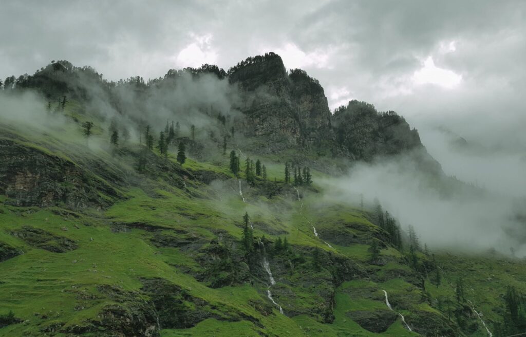 Fog declines visibility less 100 meter in Bilaspur & Sundernagar in Himachal Fog declines visibility less 100 meter in Bilaspur & Sundernagar in Himachal HIMACHAL HEADLINES