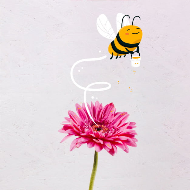 Training on Bee breeding begins at Parmar varsity, Bee breeders to be trained in scientific queen rearing Training on Bee breeding begins at Parmar varsity, Bee breeders to be trained in scientific queen rearing HIMACHAL HEADLINES