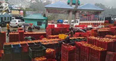 Kissan conventions of Tomato growers convened at Solan: HKS HIMACHAL HEADLINES