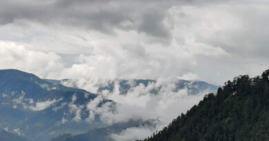 IMD sounds yellow alert for increasing fogs in 5 districts HIMACHAL HEADLINES