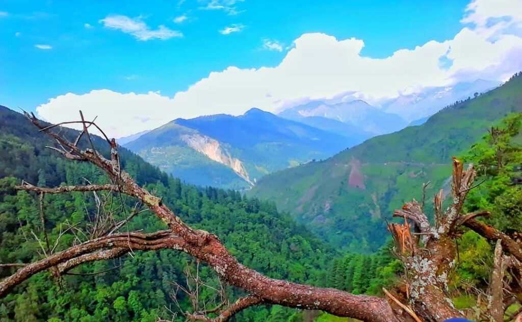 Three die in the road mishap in Chamba Three die in the road mishap in Chamba HIMACHAL HEADLINES