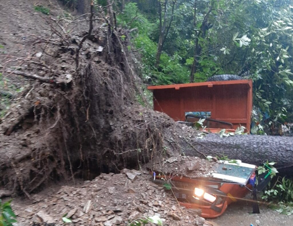Two vehicle damage when a massive tree uprooted in Shimla Two vehicle damage when a massive tree uprooted in Shimla HIMACHAL HEADLINES