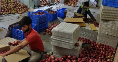 Himachal Leader of Opposition stresses need to stop Apple import to protect the affected growers HIMACHAL HEADLINES