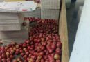 Apple Growers Fear Price Crash as Import Duty Cut Rings Alarm Bells in Himachal : Rathore