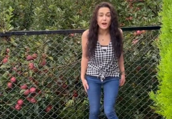 Preity Zingta takes us to her apple orchard in Himachal HIMACHAL HEADLINES