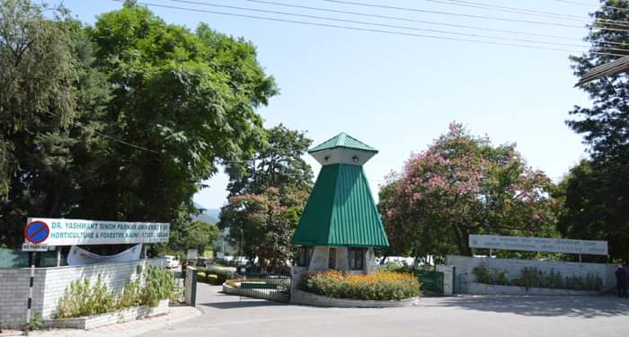 Parmar varsity open admissions for Diploma in Fruit, Vegetable Processing & Bakery products HIMACHAL HEADLINES