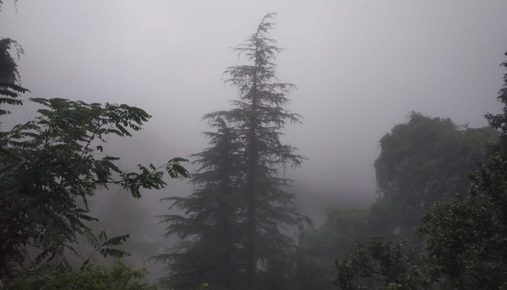 Former IAS officer book in cheating & forgery case in Shimla HIMACHAL HEADLINES