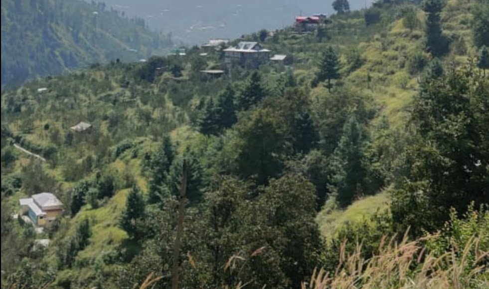 Four die in road mishaps in Una and Mandi in Himachal HIMACHAL HEADLINES