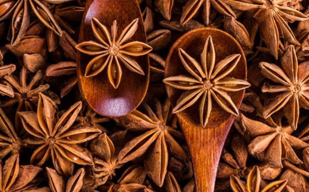 Indian spices need more diversification, climate suitable for cultivation of star anise HIMACHAL HEADLINES