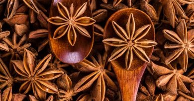 Indian spices need more diversification, climate suitable for cultivation of star anise HIMACHAL HEADLINES