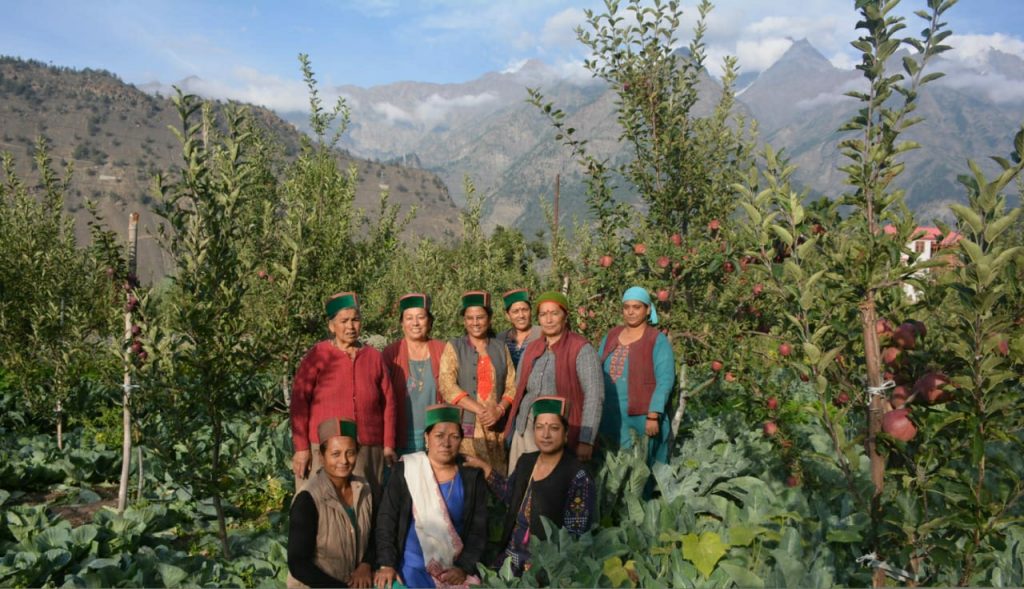 Natural farming brings a pleasant change for hill women farmers in Himachal Natural farming brings a pleasant change for hill women farmers in Himachal HIMACHAL HEADLINES