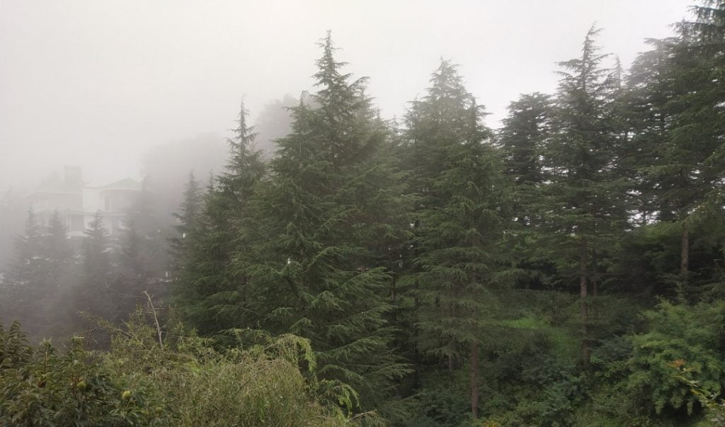 DC holds meeting to under Forest right act; Discuss 49 developmental matter DC holds meeting to under Forest right act; Discuss 49 developmental matter HIMACHAL HEADLINES