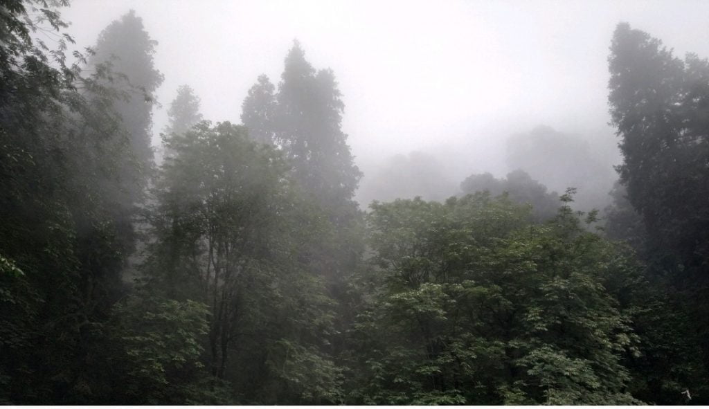 Rainfall in high reaches , Bodies of three trekkers recovered Rainfall in high reaches , Bodies of three trekkers recovered HIMACHAL HEADLINES