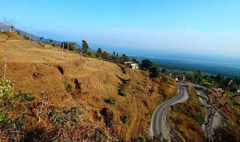 Cement loaded vehicles fall down, driver died HIMACHAL HEADLINES