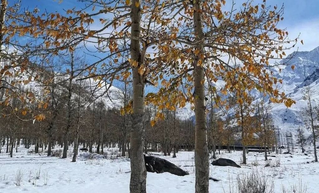 Keylong freeze at minus four degrees, coldest night of this season HIMACHAL HEADLINES