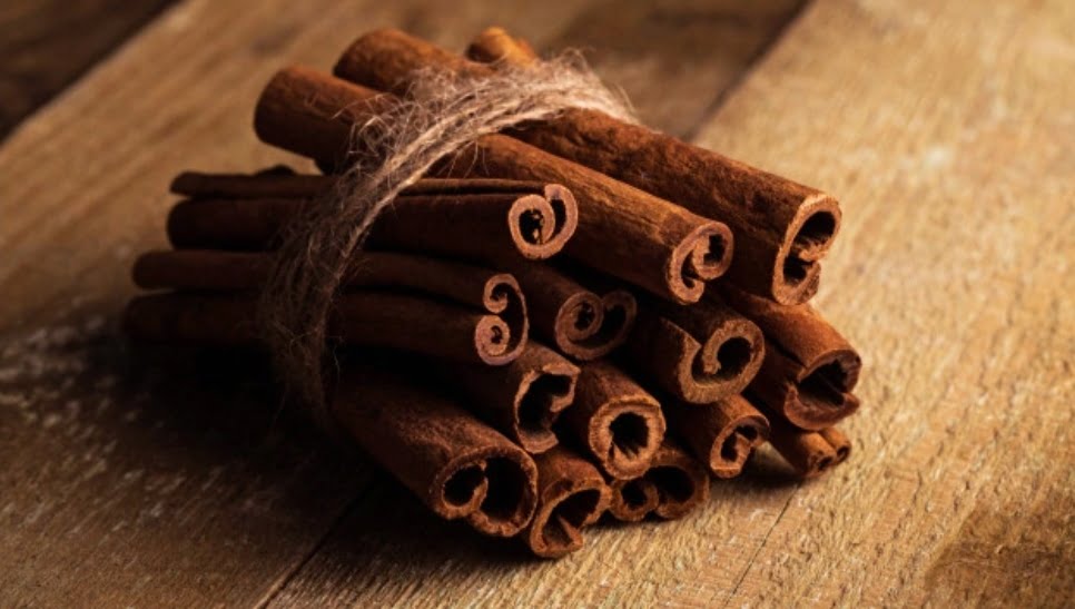 1st Pilot project for Cinnamon cultivation rolled out successfully in HP 1st Pilot project for Cinnamon cultivation rolled out successfully in HP HIMACHAL HEADLINES