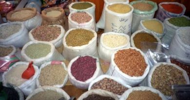 Govt to upgrade the existing grain Markets: Minister HIMACHAL HEADLINES