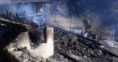 Two house gutted in devastating fire HIMACHAL HEADLINES