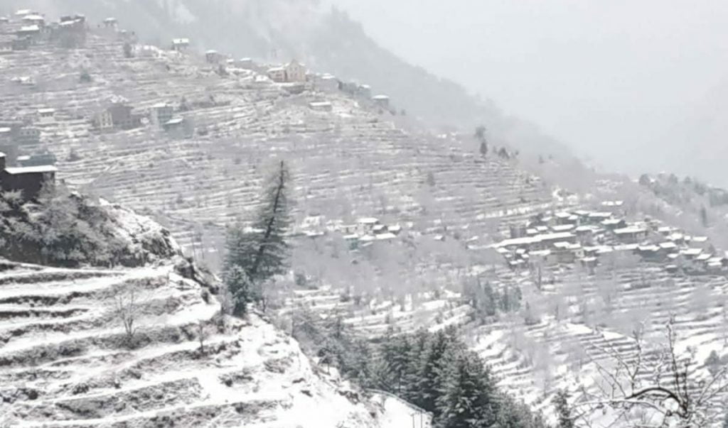 Snowfall on high reachesIce cold wind blowing across state. Snowfall on high reachesIce cold wind blowing across state. HIMACHAL HEADLINES