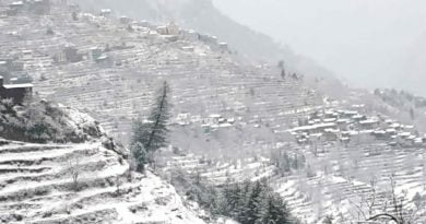 High reaches receive light SnowfallsColdwave intensified in the state HIMACHAL HEADLINES