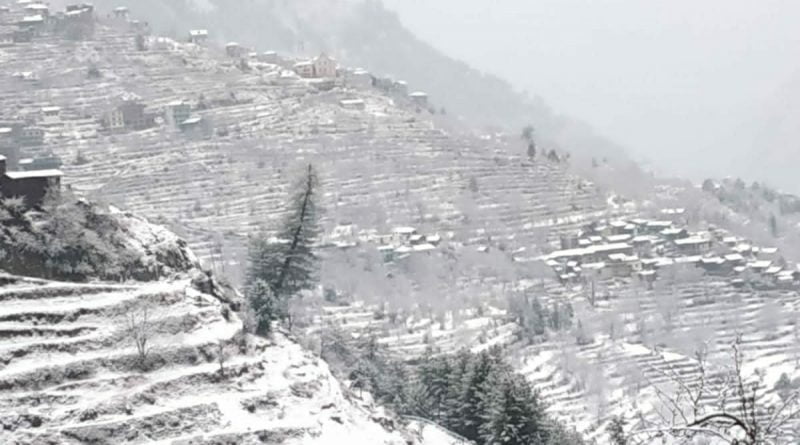 High reaches receive light SnowfallsColdwave intensified in the state HIMACHAL HEADLINES