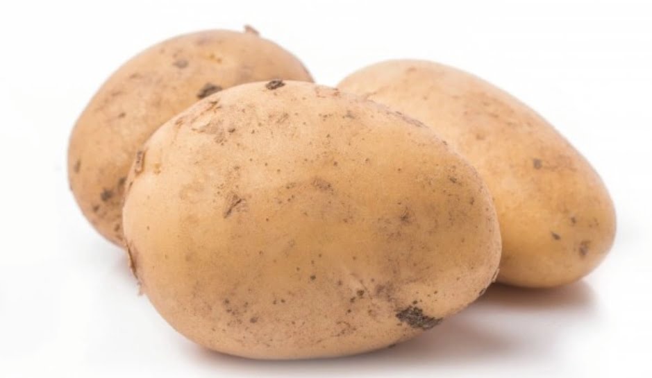 66 different varieties of potato have been prepared by CPRI HIMACHAL HEADLINES