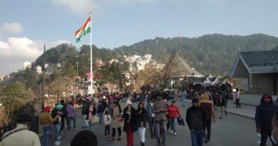 No white Christmas in Shimla, between December 24 and 31 about 5 lakh tourists are expected to reach Shimla HIMACHAL HEADLINES