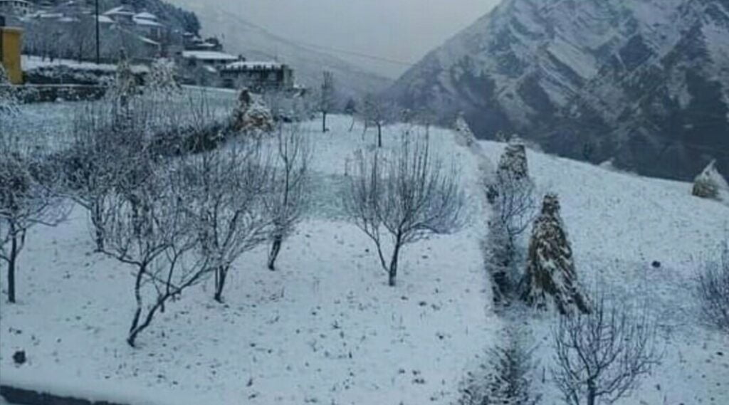 Light Snowfalls in tourist resort Kufri & Narkanda HIMACHAL HEADLINES