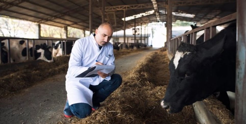 Centre Government approves Rs 7.04 crore for mobile veterinary units in the state: Virender Kanwar HIMACHAL HEADLINES
