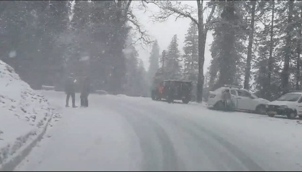 Narkanda, Shimla & Kufri receives light snow, Upper reaches wraps in a white blanket HIMACHAL HEADLINES