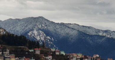Shimla receives 14.6 centimetre Snowfall HIMACHAL HEADLINES