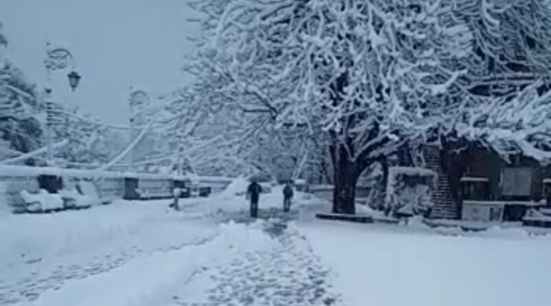 Shimla DC takes stock of Snowfall situation HIMACHAL HEADLINES