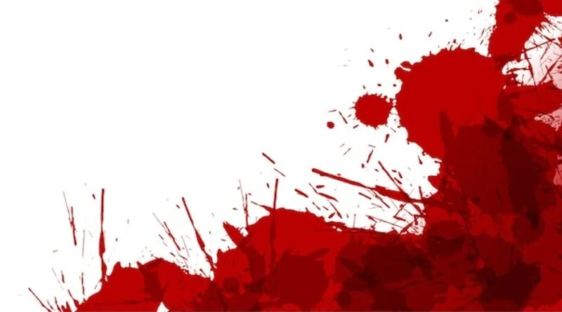 Double murder case : Police detain  two persons HIMACHAL HEADLINES