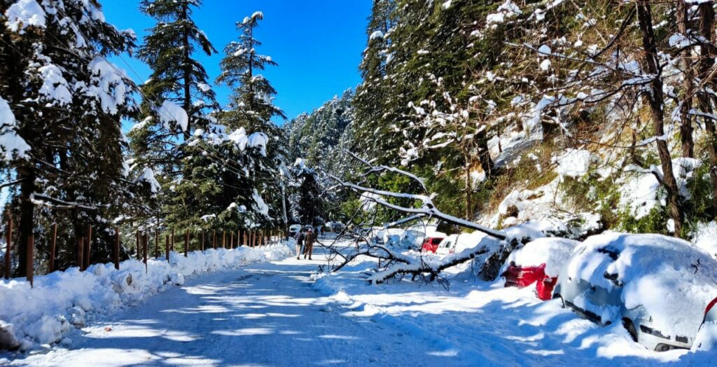 District unit of the Communist Party of India (Marxist) sought early restoration of normal life in Shimla District unit of the Communist Party of India (Marxist) sought early restoration of normal life in Shimla HIMACHAL HEADLINES