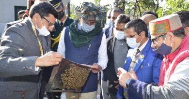 Himachal has 2,365 number of bee keepers and 5515.25 MT of annual honey production HIMACHAL HEADLINES