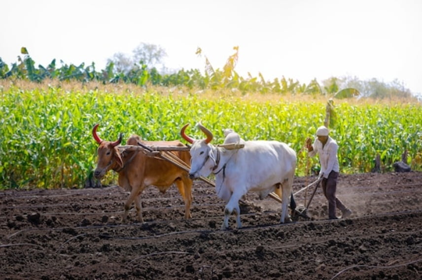 Scientists to contribute in traditional farming and seed protection HIMACHAL HEADLINES