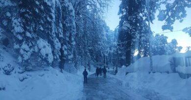 Light spell snow high reaches of Himachal HIMACHAL HEADLINES