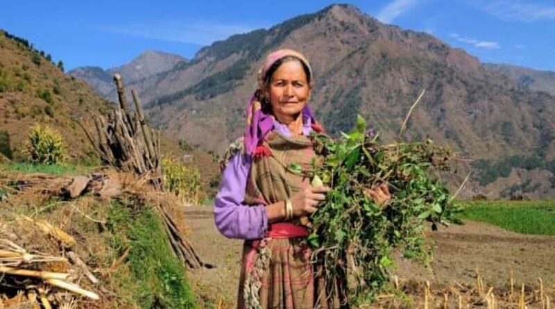 Farmers of Himachal can represent country in natural farming HIMACHAL HEADLINES