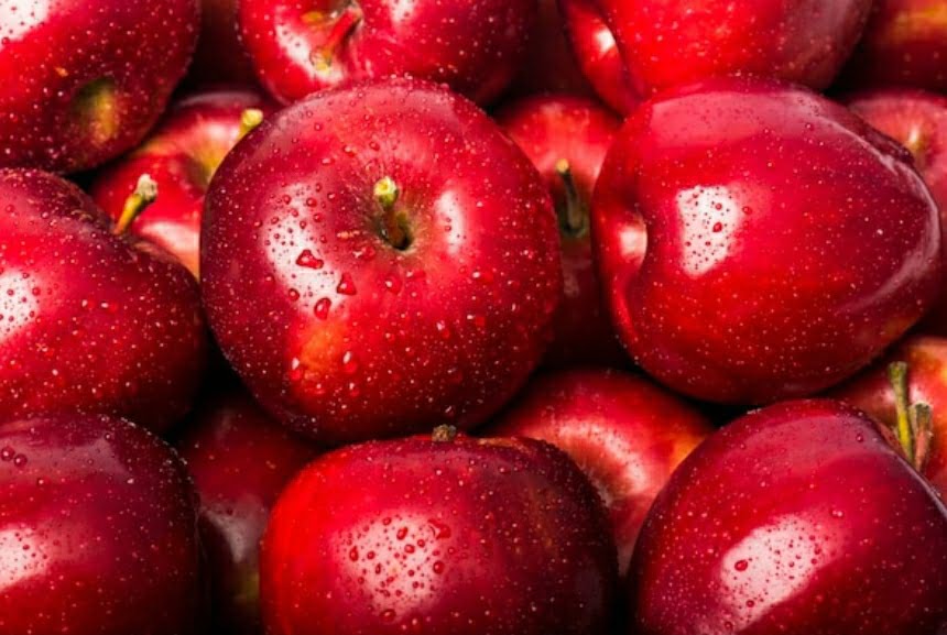 New fruit processing plant to be set up at Kotkhai - Minister New fruit processing plant to be set up at Kotkhai - Minister HIMACHAL HEADLINES