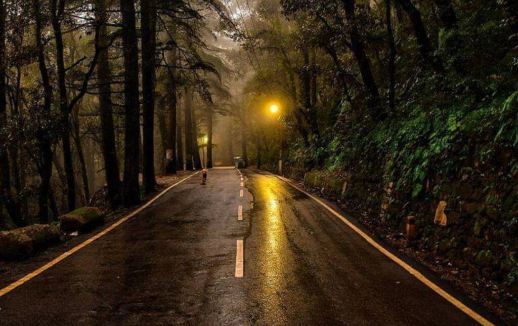 Govt to reallocate lapses funds for minor road works  HIMACHAL HEADLINES