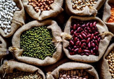 Strengthening Nutrition Through Collaboration: A United Push for Healthier Himachal