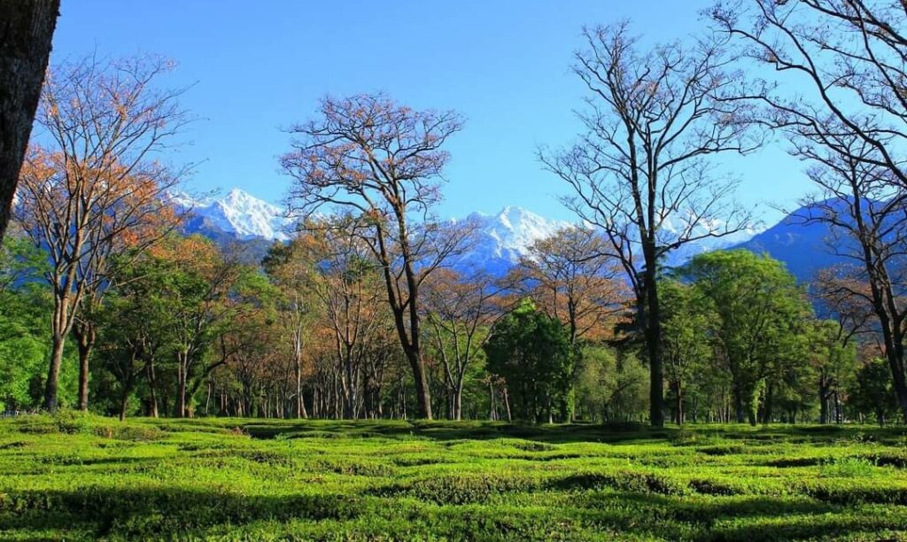 State Pollution Control Board to organise Himachal Enviro Quiz State Pollution Control Board to organise Himachal Enviro Quiz HIMACHAL HEADLINES