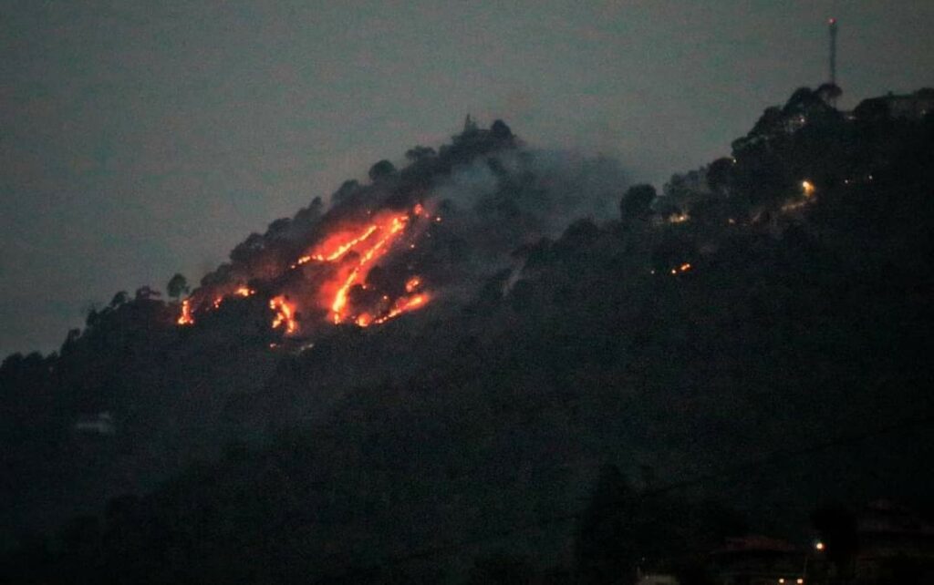 Fire engulfs Kasauli forests, damages fauna, flora. Army helicopter presses into operations Fire engulfs Kasauli forests, damages fauna, flora. Army helicopter presses into operations HIMACHAL HEADLINES