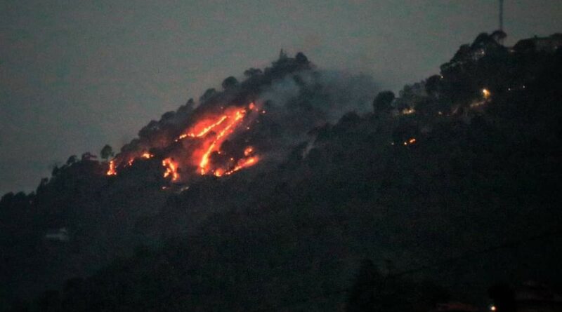 Fire engulfs Kasauli forests, damages fauna, flora. Army helicopter presses into operations  HIMACHAL HEADLINES