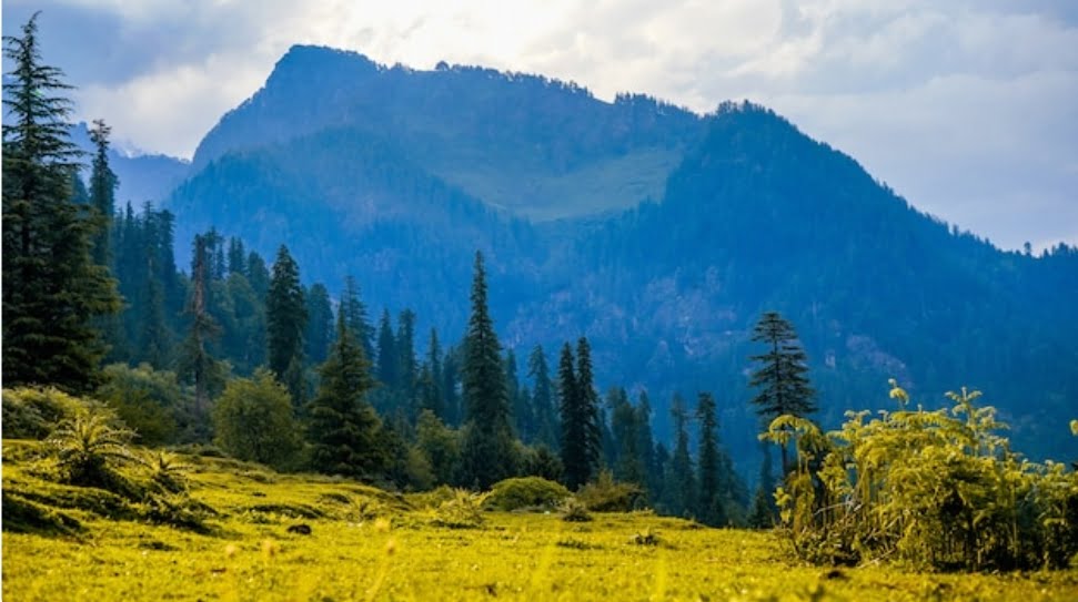 A tourist died in Mandi accident HIMACHAL HEADLINES