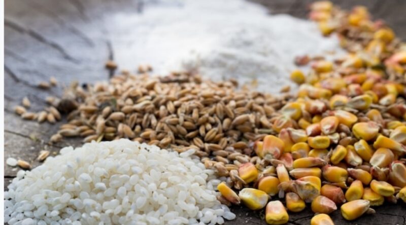 Atta & Rice goes dearer, price Index up by 1.35 pc  HIMACHAL HEADLINES