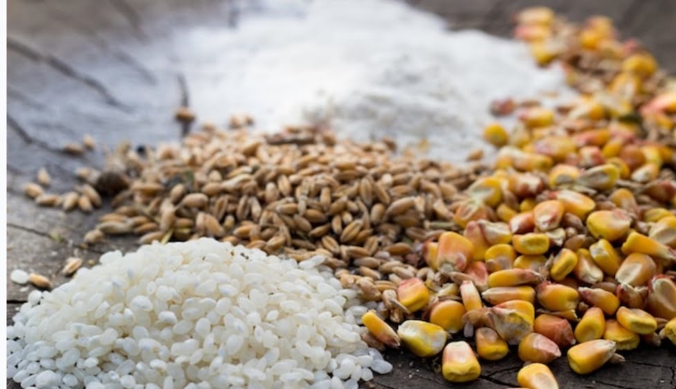 Congress criticises Govt to bring Food and Agriculture inputs under GST Congress criticises Govt to bring Food and Agriculture inputs under GST HIMACHAL HEADLINES