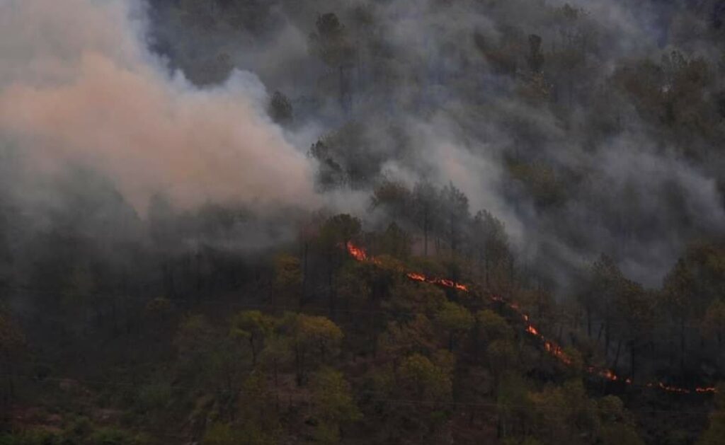 Heatwave triggers more house and Forest Fire HIMACHAL HEADLINES