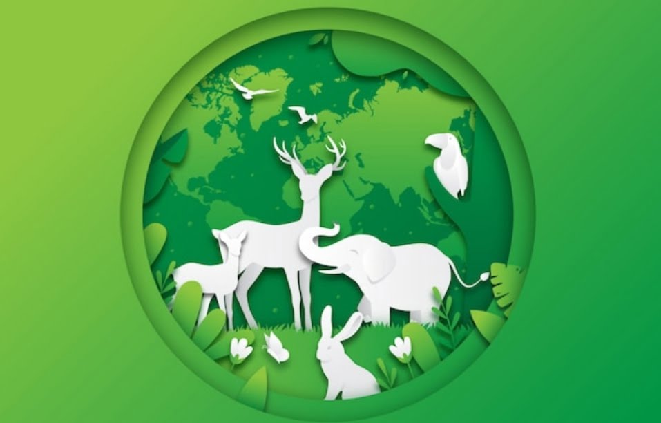 Three School of Himachal won green trophies Three School of Himachal won green trophies HIMACHAL HEADLINES